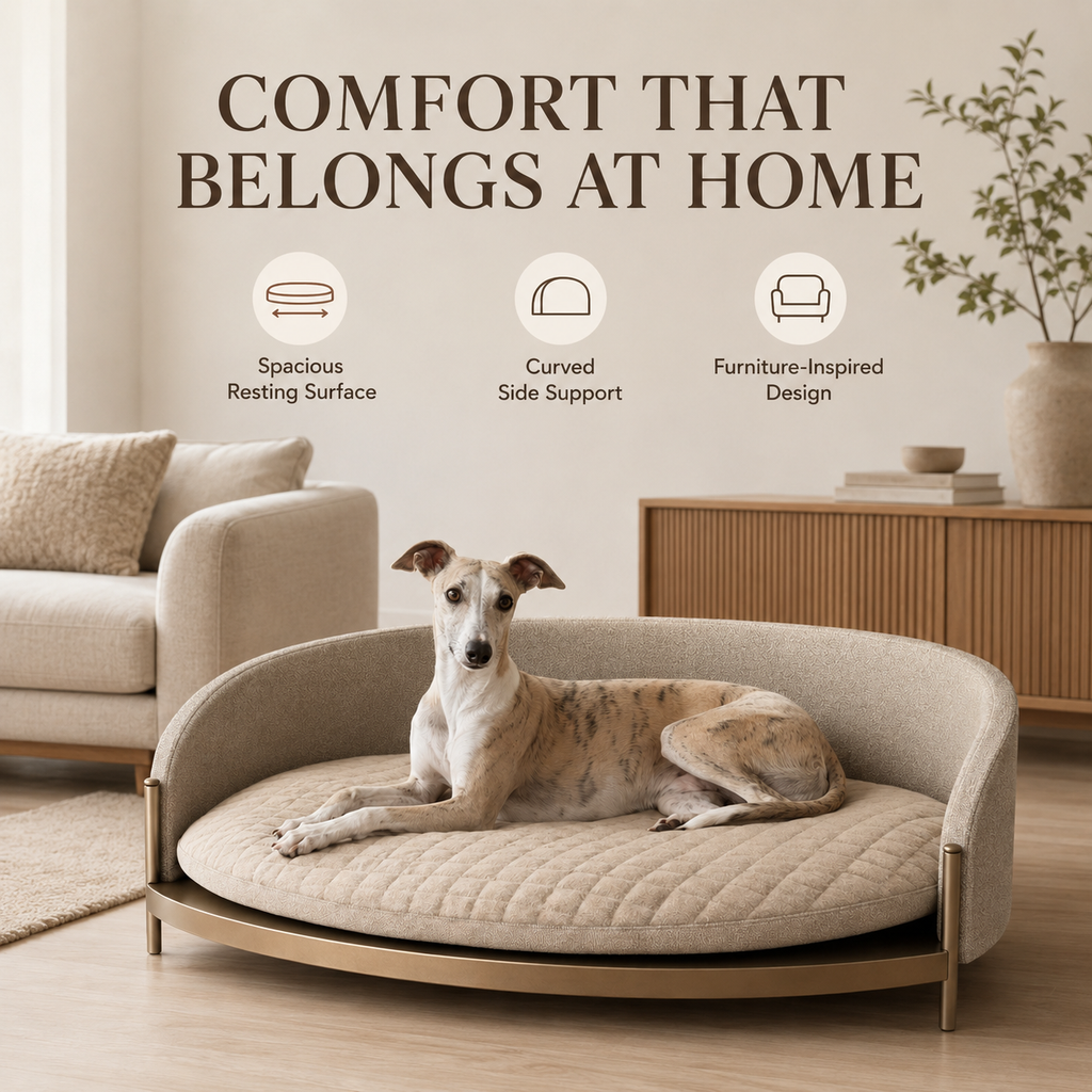 tailvoripets™ HavenArc Elevated Lounge Dog Bed